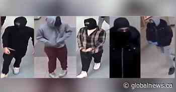 Police seek 5 suspects accused of $100K in damage at Hamilton Catholic school