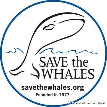 Save the Whales Honors Legacy of Co-Founder and President Maris Sidenstecker I and Looks Toward the Future