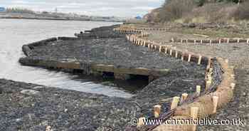 Blow as environmental schemes around North East are vandalised