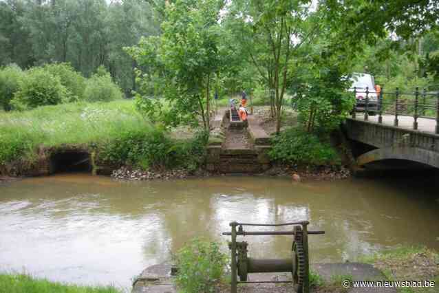 Kempens Landschap onderzoekt of ‘Trammeke’ nog kan functioneren: “Symbool van industriële ontwikkeling op platteland”