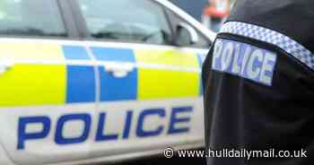 Teen 'raiders' held after waking residents in Wold Road area of Hull