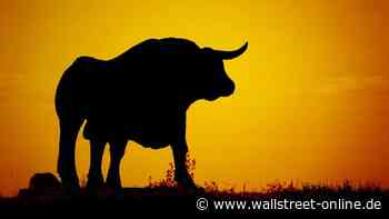 Nach Fed und EZB: Was jetzt? Bullenmarkt mit "Booster-Rendite" oder Horror-Crash nach Rezession?