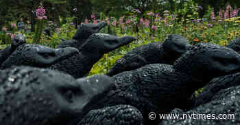 Ebony G. Patterson Brings a Crowd to the New York Botanical Garden
