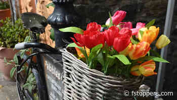 A Review of the Nikon NIKKOR Z DX 12-28mm f/3.5-5.6 PZ VR Lens