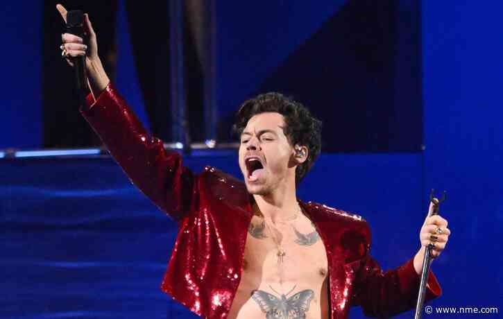 Harry Styles fan names baby after tour at gender reveal at Wembley gig