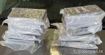 Cocaine, GHB and thousands of dollars seized in Maidstone area, Sask RCMP says