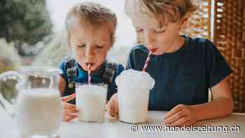 Die nachhaltige Milch