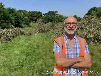 Cator Park Beckenham: Residents devastated after trees cut down