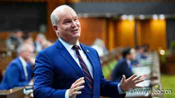 Canada risks 'permanent state of chaos' if politicians don't smarten up about social media, O'Toole says