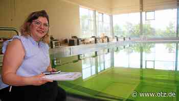 Grünes Wasser im neuen Jenaer Schwimmbad