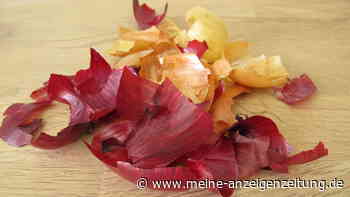 Zwiebelschalen nicht wegwerfen: Daraus hergestelltes Pulver ist würziger Geheimtipp