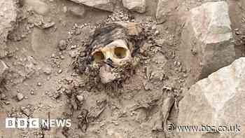 Peru archaeology: Ancient mummy found under rubbish dump