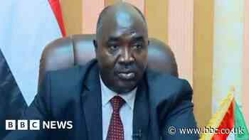 Sudan conflict: West Darfur governor killed after genocide claim