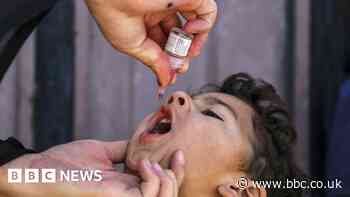 Super-engineered vaccines created to help end polio