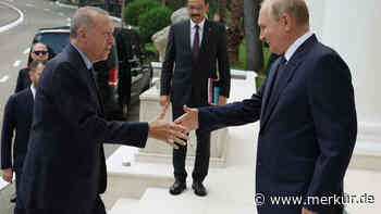 Neue Friedensinitiative? Putin kündigt überraschend Besuch bei Erdogan an