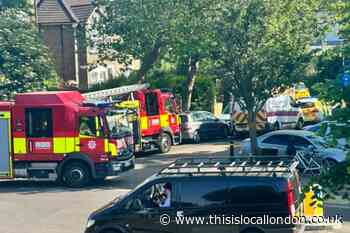 Southeastern Beckenham line closed after person hit by train
