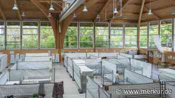 Flüchtlinge: Landkreis Miesbach erfüllt die Quote nicht - Trotz 1800 Zuweisungen