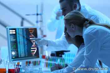 First Synthetic Human Embryo Models Created in Lab