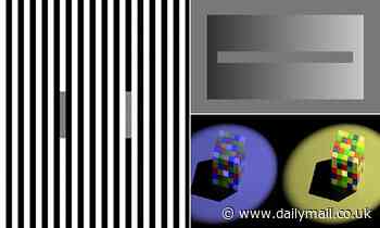 These trippy optical illusions make identical objects appear different colours  - here's how