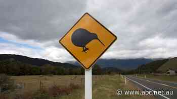 New Zealand is officially in a recession. These charts show how Australia compares