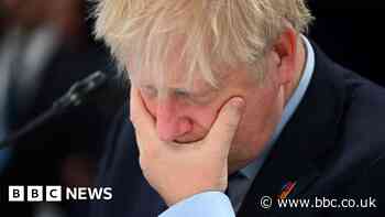 Boris Johnson deliberately misled Parliament over Partygate, MPs find