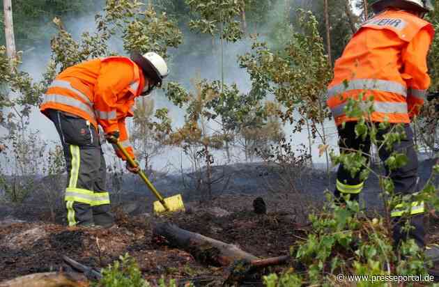 FW Celle: Brandausbreitung in Hochwald verhindert - Feuerwehr Flugdienst im Einsatz