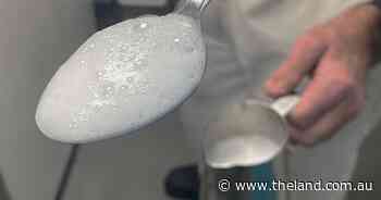 How the alternative protein industry and dairy farmers can thrive together