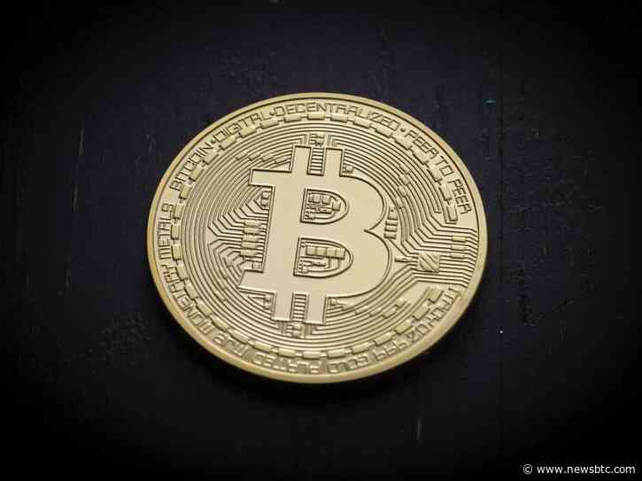 Bitcoin Holders Show No Panic Loss Selling, What Does It Mean?