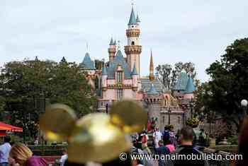 Theme parks bounced back in 2022 from pandemic lows with revenue, if not attendance