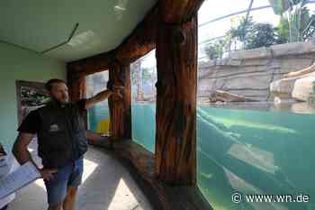 Allwetterzoo gewährt exklusive Einblicke in Münsters Tropen-Welt