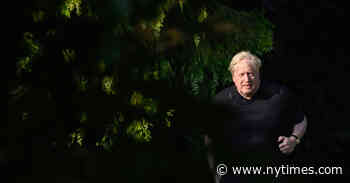 Trump and Johnson Were Accused of Breaking Rules. One Lost Party Support.