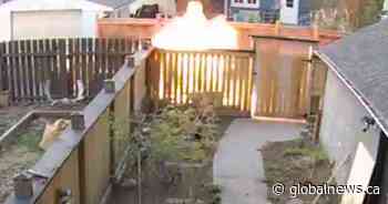 Calgary police ask public for help identifying arson suspects in May 11 vehicle fire