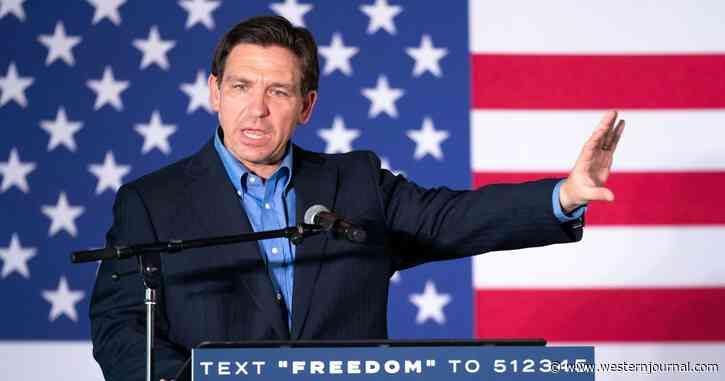DeSantis Calls Out Dem 'Chirping' on Sidelines, Tells Him to Get in the Race to Challenge Biden