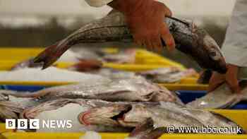 Young's Seafood Grimsby site closure proposal puts 285 jobs at risk