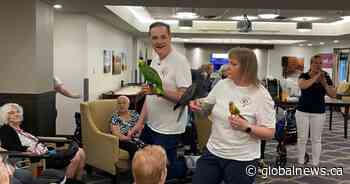 ‘It’s just awesome!’: Calgary care home welcomes parrot club