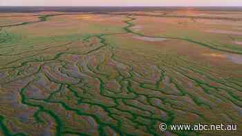 Hopes gas leases 'don't see light of day' again after Origin surrenders them to Queensland government