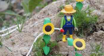 Welttag der Dürre: Im Hausgarten richtig Wässern und Wassersparen