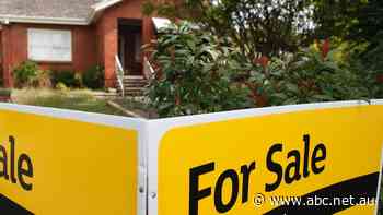 Almost half of Canberra's houses are still worth more than $1 million despite nationwide fall in prices