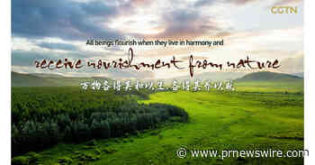 Saihanba, ein Beispiel für Harmonie zwischen Mensch und Natur