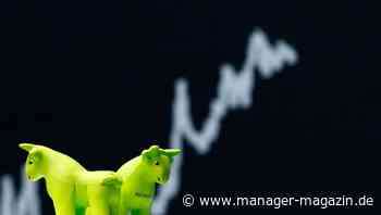 Börse: Dax knapp unter Rekordhoch