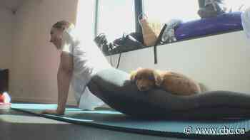 Finding relaxation through the art of 'doga'