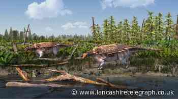 New species of dinosaur discovered on Isle of Wight