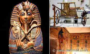 Is THIS how Tutankhamun died? Expert claims the Egyptian King was involved in a DRINK-DRIVING crash 