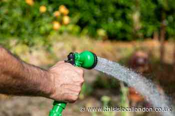 South East Water hosepipe ban in Kent