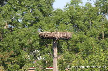 Laatste jong overleden op ooievaarsnest bij Dijklander Purmerend