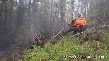 How the Canadian wildfires are affecting wildlife