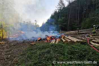 Stemwede: Waldbrandgefahr ist groß