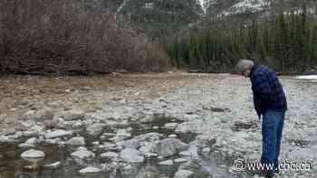 Salmon are dying in dried-up river beds in northern Yukon