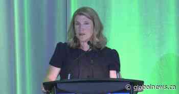 Fredericton mayor sends message of support to LGBTQ2 community in annual speech