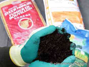 Growing Things: Breaking down the manure versus compost debate